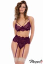 Picture of MA8866 - Wine