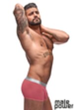 Picture of MP145-252 - Salmon