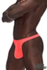 Picture of MP443-272 - Coral