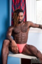 Picture of MP443-272 - Coral