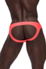 Picture of MP301-272 - Coral