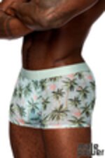 Picture of MPSMS-011 - Flamingo