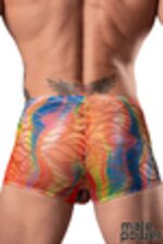 Picture of MP131-293 - Rainbow