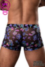 Picture of MP145-294 - Rainbow