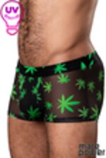 Picture of MP145-294 - Black-Green