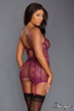 Picture of DG11870 - Berry