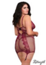 Picture of DG11870 - Berry