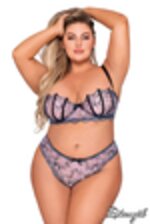 Picture of DG12168 - Lavender