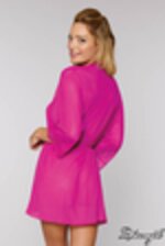 Picture of DG12652 - Azalea