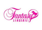 Picture for category Fantasy Lingerie